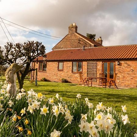Morndyke Cottage Thirsk Kültér fotó